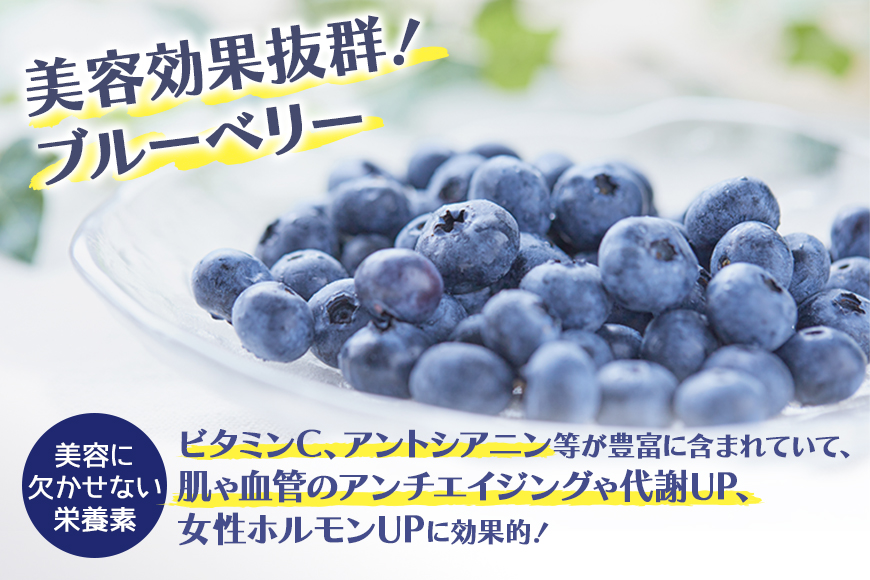 果汁35％ブルーベリー飲料6本セット（180ml×6） 国産 茨城県産 ブルーベリー 特別栽培 無添加 ブルーベリージュース ジュース ギフト 朝どれ 朝採り  フルーツ ドリンク 栄養 健康 美容 贈り物 お見舞い 詰め合わせ ９-Ｎ