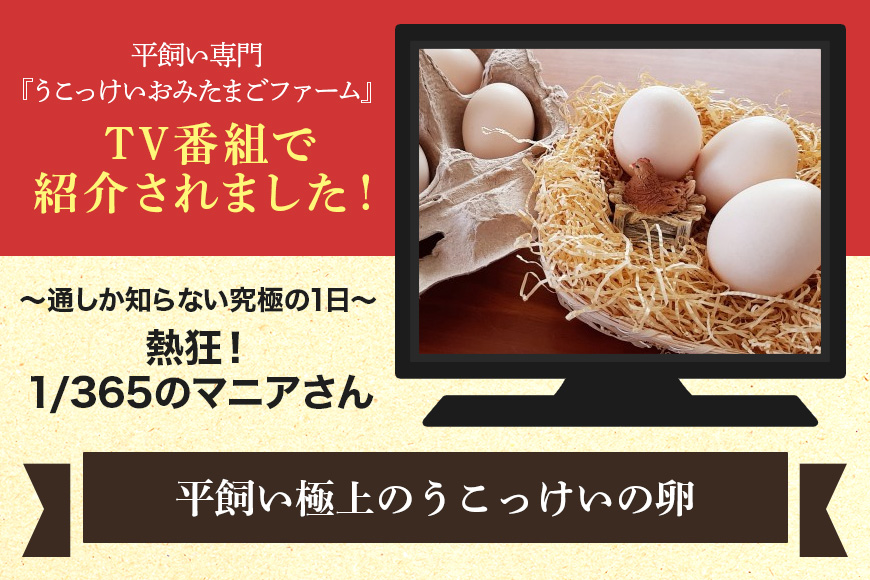 平飼い極上のうこっけいの卵24個（20＋補償4個）×定期便6回【6ヶ月定期便】卵かけご飯 卵かけごはん TKG 卵 たまご タマゴ 玉子 烏骨鶏 烏骨鶏の卵 安全 テレビ TV マニアさん 健康 美容 ご飯 すき焼き 目玉焼き 卵焼き 玉子焼き たまご焼き 37-B