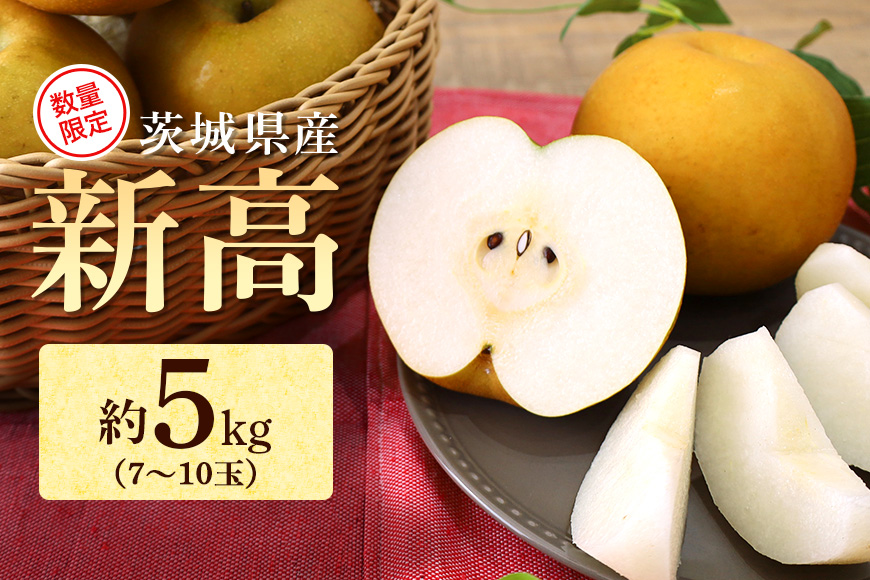 【数量限定 / 夏季限定】 梨（新高）約5kg 17-Y 【9月中旬〜下旬発送予定】