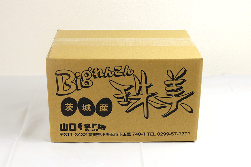 【最高級Bigれんこん珠美】真空品 1kg 77-C