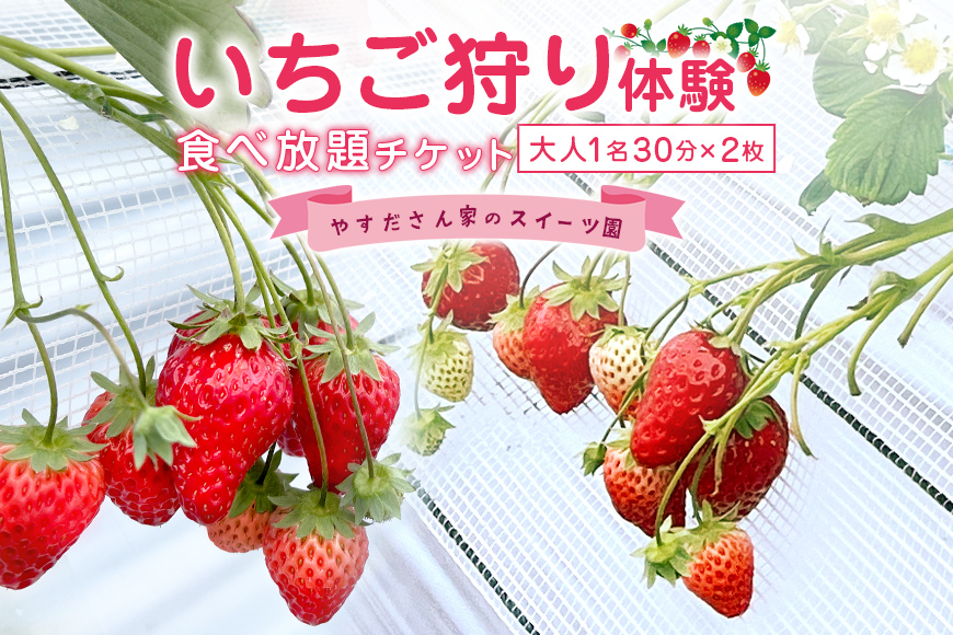 やすださん家のスイーツ園 いちご狩り体験【ペアチケット】 大人1名30分食べ放題チケット×2 19-G