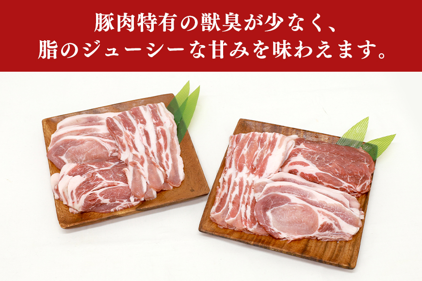 ブランド豚「ばんぶぅ」化粧箱入りギフト 2種（鍋用、しゃぶしゃぶ用）計1.5kg 冷凍便 1.5キロ 大容量 たっぷり 豚肉 豚ロース 豚肩ロース 豚バラ肉 豚ばら肉 スライス うす切り 薄切り 豚しゃぶ お鍋 ぶた肉 ブタ肉 国産 茨城県産 プレゼント 贈り物 贈答品 お祝い 42-AY