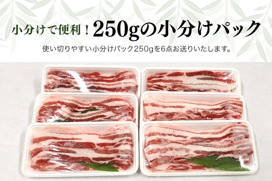 ブランド豚「ばんぶぅ」小分け 豚バラスライス1.5kg(250g x 6パック) ばんぶぅ 豚肉 豚バラ肉 スライス 豚バラスライス しゃぶしゃぶ 焼き肉 豚バラ しゃぶしゃぶ肉 焼肉 お鍋 小分け ぶた肉 ブタ肉 国産 茨城県産 ギフト プレゼント 高級部位 ブランド豚 42-K