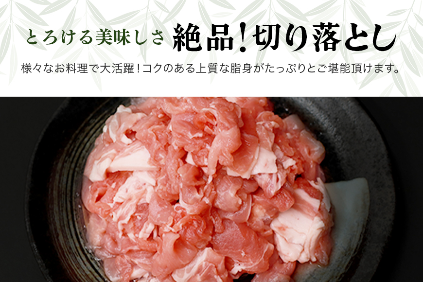 ブランド豚「ばんぶぅ」小分け 切り落とし 4kg（500g×8パック） 冷凍便 4キロ 大容量 たっぷり 豚肉 豚切り落とし 豚切落し 豚こま切れ 豚小間切れ 豚細切れ 豚こまぎれ ぶた肉 ブタ肉 国産 茨城県産 ギフト プレゼント お祝い ご褒美 42-AV