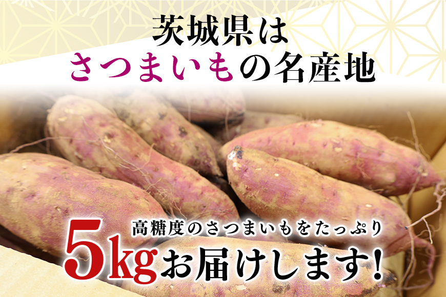 干し芋屋のさつまいも（紅はるか） 5kg サツマイモ さつま芋 生芋 べにはるか ベニハルカ 国産 茨城県産 箱 直送 やきいも 焼いも 焼き芋 焼芋 おやつ スイーツ作り ケーキ作り スイートポテト 大学芋 大学いも 5キロ 12-R