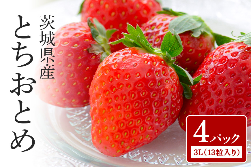【数量限定・先行予約】とちおとめ 3L（13粒入り）×4パック 1kg以上 いちご イチゴ 苺 フルーツ 果物 くだもの 国産 茨城県産 高糖度 甘い ＜2026年1月中旬～3月上旬発送予定＞ （茨城県共通返礼品 石岡市） 71-E