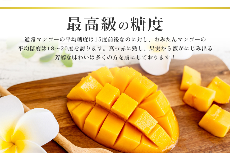 【数量・季節限定】 おみたんマンゴージャム 450g （150g×3） マンゴー ジャム 完熟 国産 フルーツ 果物 くだもの 19-C
