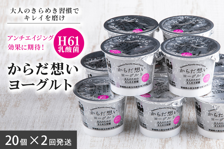 【定期便2回】 H61乳酸菌『からだ想いヨーグルト』 ヨーグルト 低糖・低カロリー H61乳酸菌 アンチエイジング 健康 老化抑制 腸内改善 美容 美肌 美肌菌 敏感肌 乾燥肌 敬老の日 御見舞い 自宅待機 食品 お取り寄せ ギフト 詰め合わせ プチギフト 誕生日 内祝い １-Ｃ