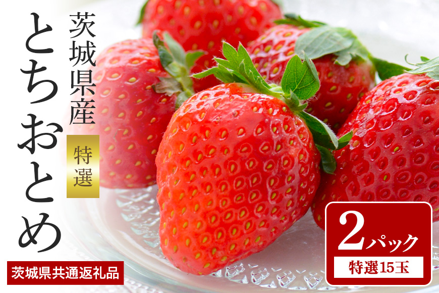 【数量限定・先行予約】とちおとめ 特選15玉 2パック いちご イチゴ 苺 フルーツ 果物 くだもの 国産 茨城県産 高糖度 甘い ＜2026年1月中旬～3月上旬発送予定＞ （茨城県共通返礼品 石岡市） 71-F