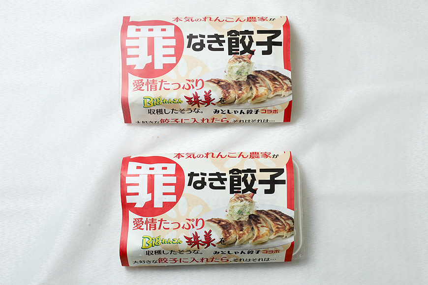 【最高級Bigれんこん珠美使用】冷凍罪なき餃子(20g×15個入)2パックセット 77-E