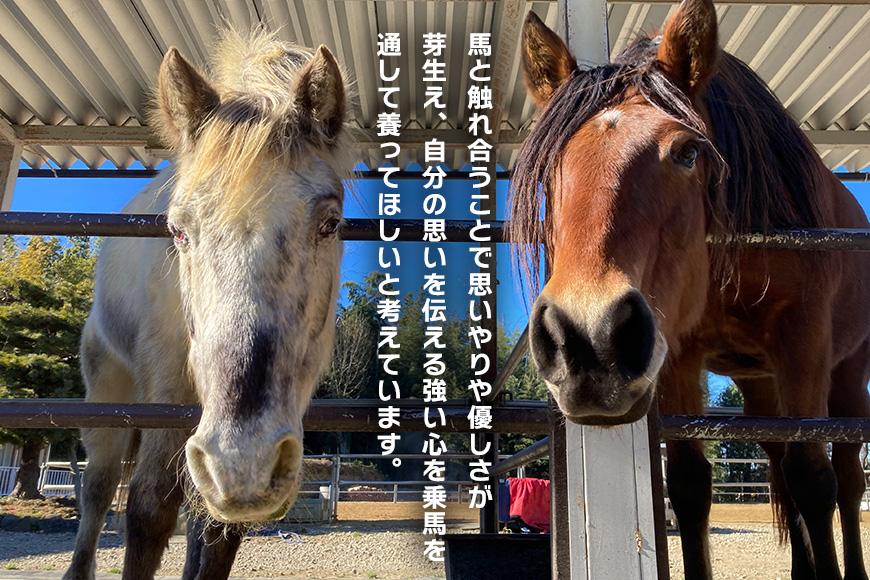 ★ROCKY★ 引馬体験チケット 10分 体験 チケット 券 引馬 馬 うま ウマ 子供 大人 初心者 経験者 歓迎 92-A