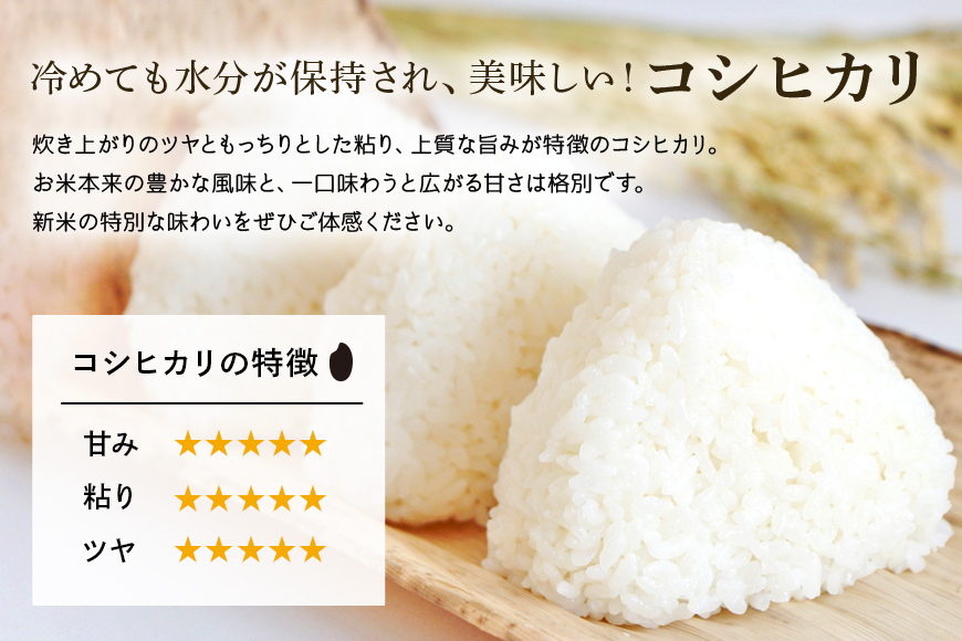 無洗米食べ比べ コシヒカリ＆あきたこまち 各5kg こしひかり 米 白米 
