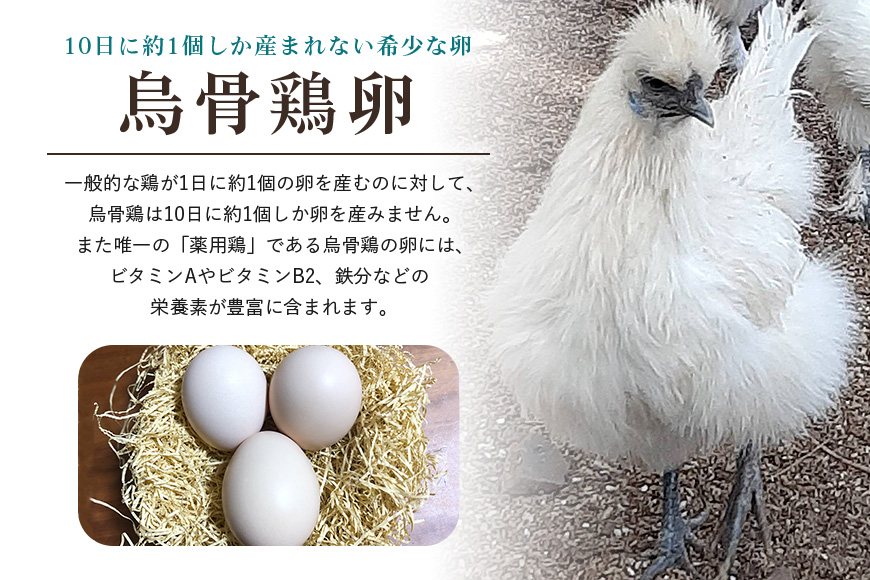 即決 アローカナ 有精卵 12個 青い卵 平飼い 鶏 食用 - 卵、乳製品