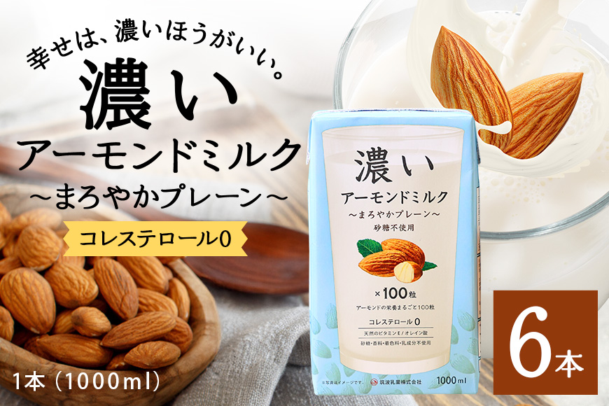 濃いアーモンドミルク　まろやかプレーン1000ml×6本入り 47-BB