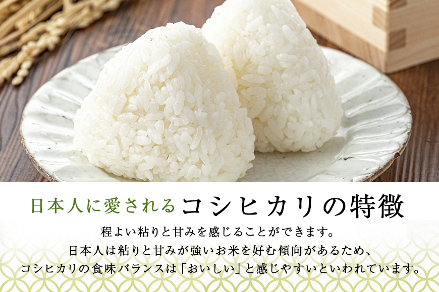 令和6年産 特別栽培米コシヒカリ 5kg こしひかり お米 白米 リピーター続出 特別栽培 天然肥料 茨城県 小美玉市 14-C