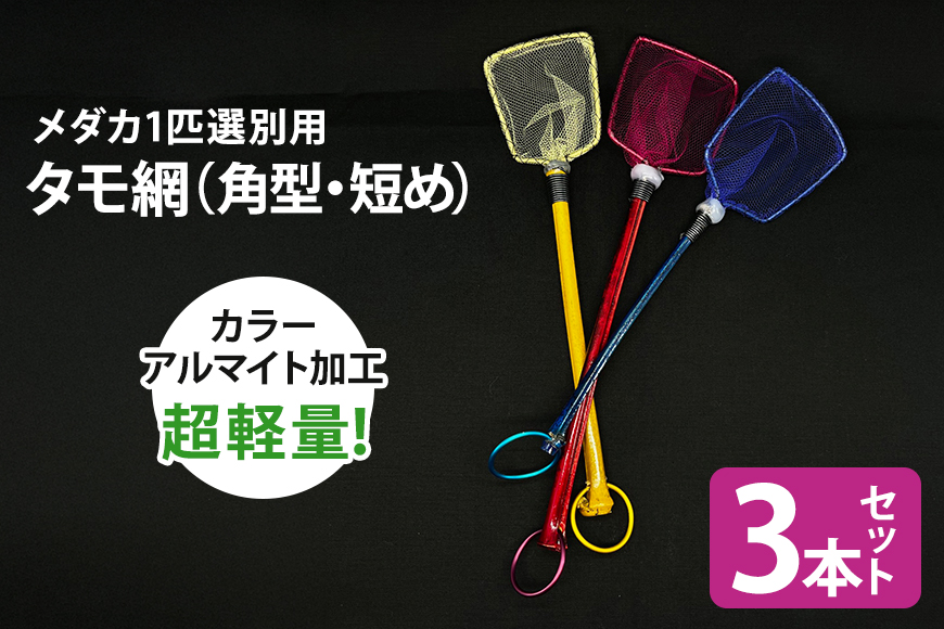 メダカ1匹選別用 タモ網（角型・短め） 3本セット 83-K