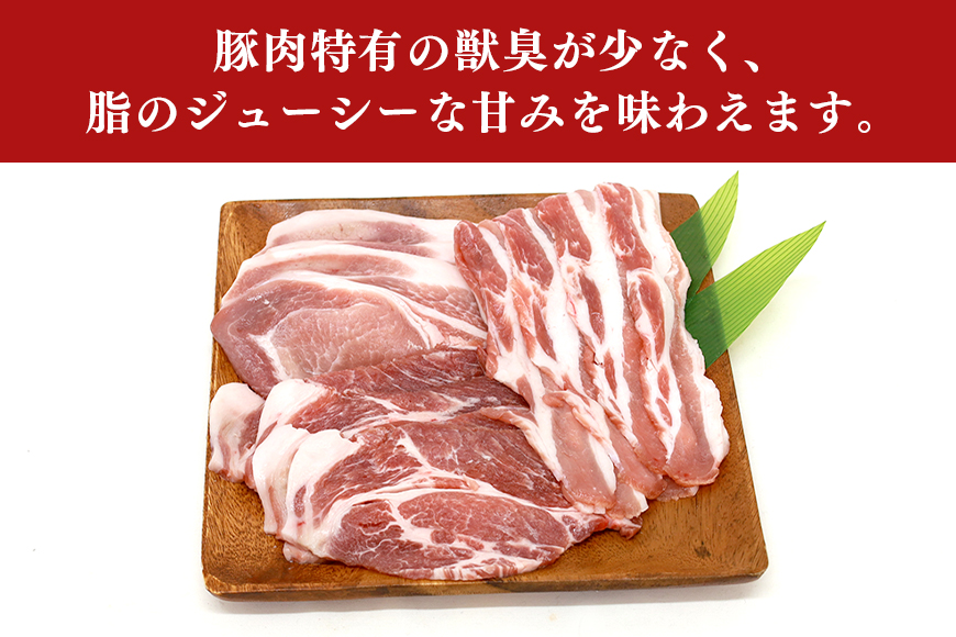 ブランド豚「ばんぶぅ」化粧箱入りギフト 鍋用 750g 冷凍便 750グラム 豚肉 豚ロース 豚肩ロース 豚バラ肉 豚ばら肉 スライス うす切り 薄切り お鍋 ぶた肉 ブタ肉 国産 茨城県産 プレゼント 贈り物 贈答品 お祝い 42-BC