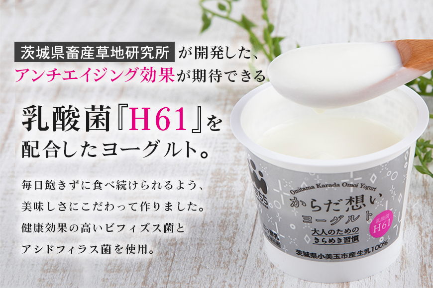 【定期便2回】 H61乳酸菌『からだ想いヨーグルト』 ヨーグルト 低糖・低カロリー H61乳酸菌 アンチエイジング 健康 老化抑制 腸内改善 美容 美肌 美肌菌 敏感肌 乾燥肌 敬老の日 御見舞い 自宅待機 食品 お取り寄せ ギフト 詰め合わせ プチギフト 誕生日 内祝い 1-C