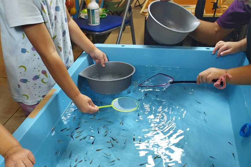 メダカ用 タモ網大（太）・タモ網大（細）・タモ網型キーホルダー 3点セット メダカ タモ 網 キーホルダー セット めだか タモ網 手作り 天然素材 高品質 軽量 耐久 飼育 83-P