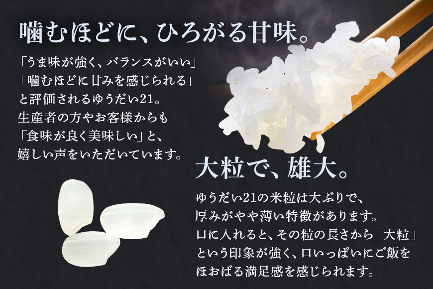 【笑米繁盛】 食べ比べ 10kg （ゆうだい21・こしひかり） ゆうだい21 こしひかり 各5kg 数量限定 コシヒカリ 米 白米 茨城県産 お弁当 おにぎり エコ 食べくらべ 詰め合わせ セット 53-E