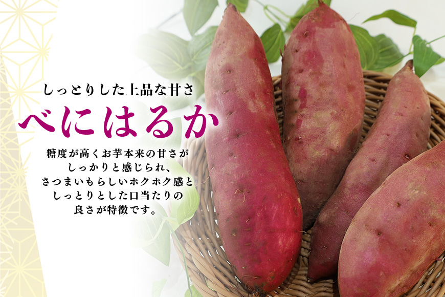 ãã€ãŸãã çŽ
ã¯ãã èŠæ Œå€å 5kg ãµããã€ã¢ ãã€ãŸè çè ã¹ã«ã¯ãã èš³ãã åœç£ èšåçç£ ç®± çŽé ãããã çŒãã çŒãè çŒè ãã〠ã¹ã€ãŒãäœã ã±ãŒãäœã ã¹ã€ãŒãããã 倧åŠè 倧åŠãã 12-AW