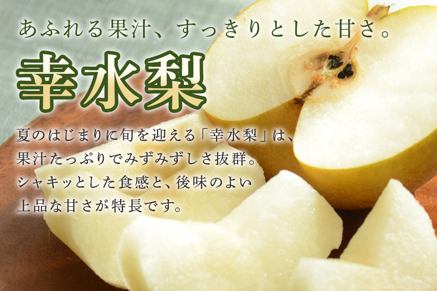 【数量限定・先行予約】 梨 幸水 5kg L～4L 11～18玉 なし ナシ 果物 フルーツ 国産 【8月10日～9月末発送予定】 70-M