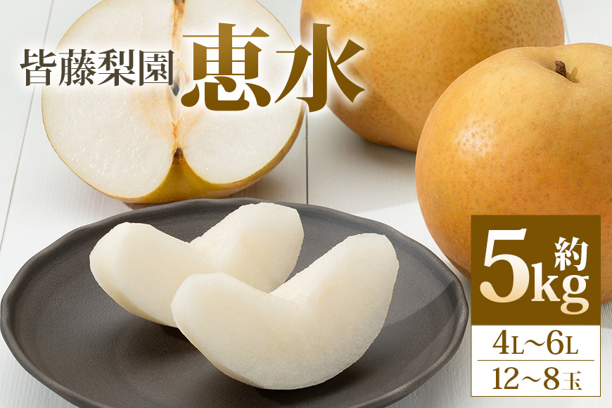【数量限定・先行予約】【皆藤梨園】恵水(約5kg/4L~6L/12~8玉) 梨 惠水 果物 なし ナシ けいすい くだもの フルーツ 【9月上旬以降発送予定】 75-C
