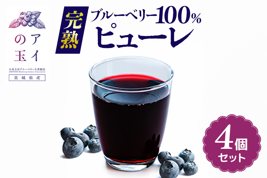 【アイの玉】完熟ブルーベリー100％ピューレ（4個セット） ピューレ ブルーベリー フルーツ 果物 くだもの 手作り 無糖 ヘルシー 73-F