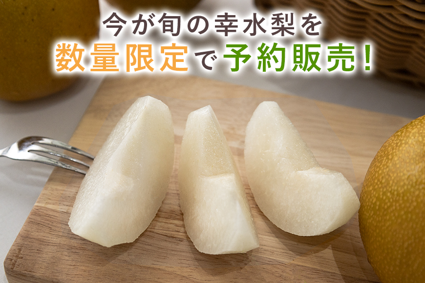 【数量限定 / 夏季限定】梨（幸水） 約5kg なし ナシ 日本梨 こうすい コウスイ 17-C 【8月中旬～下旬発送予定】