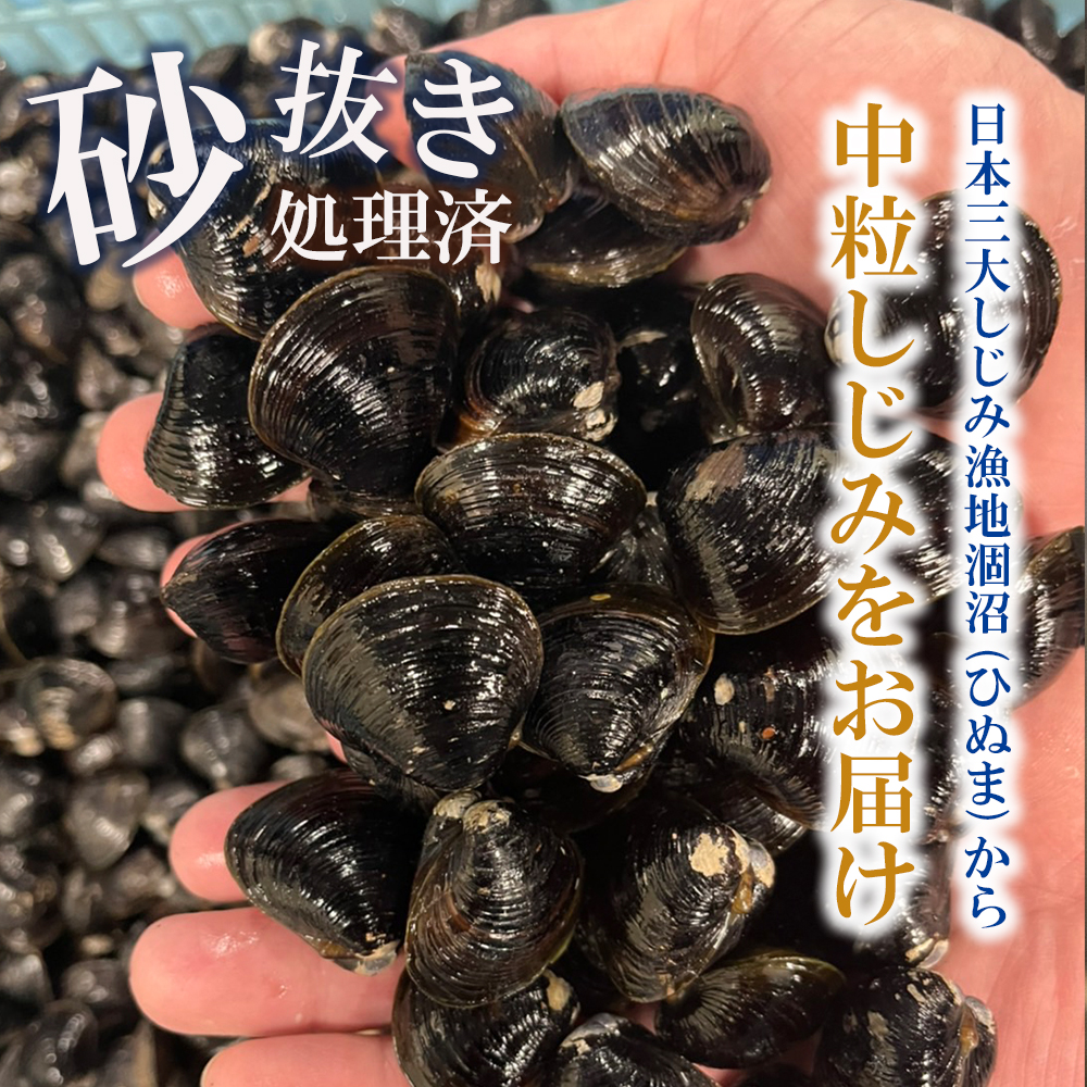 訳あり 涸沼産 中粒 冷凍 シジミ 2kg(400g×5袋) しじみ 蜆 大和しじみ ヤマトシジミ 大玉 砂抜き済 冷凍 味噌汁 スープ 魚貝類 貝 オルニチン コハク酸 小分け わけあり 訳アリ