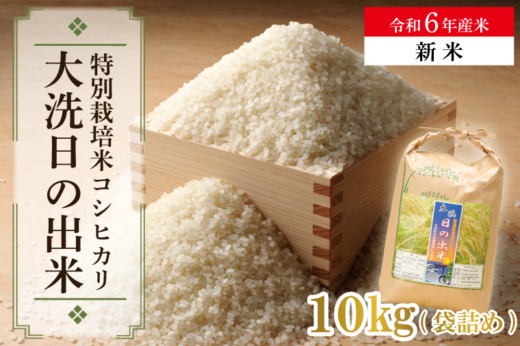 【新米】米 10kg 低農薬米 大洗 日の出米 コシヒカリ 令和6年産 特別栽培米 コメ こめ 送料無料