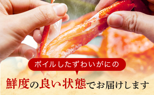 訳あり ボイル ずわいがに 1kg (4肩)規格外 不揃い 傷 足 訳アリ わけあり 脚折れ 3L 特大サイズ 弥七商店 かに弥 ずわい蟹 ズワイガニ かに カニ 蟹 カニ足 脚 ずわい 鍋 数量限定