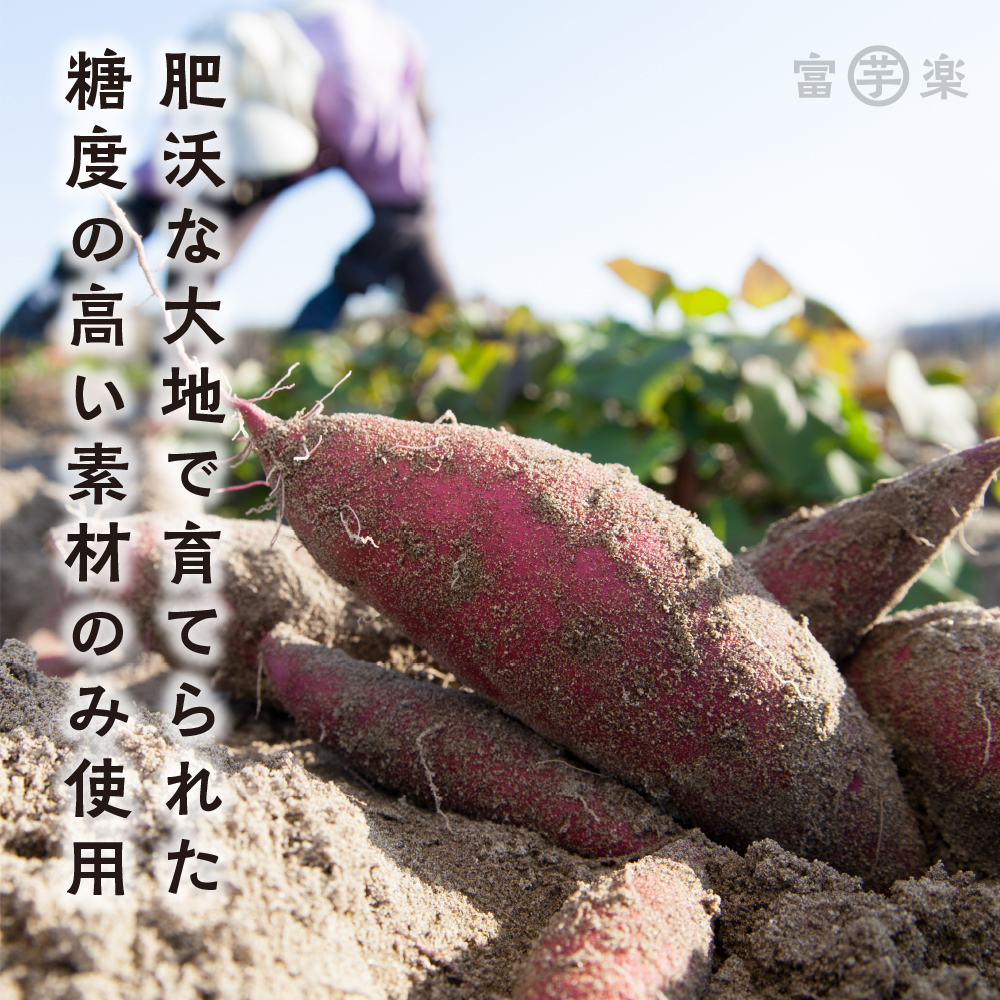 【先行予約】干し芋屋のさつまいも 熟成 紅はるか 生芋 10kg 無添加 無着色 茨城県産 サツマイモ 土付き 芋 さつまいも さつま芋 薩摩芋 紅遥 べにはるか