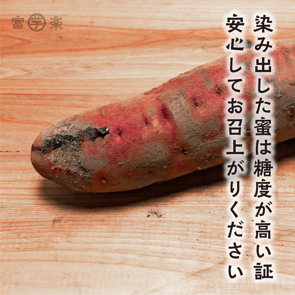 【先行予約】干し芋屋のさつまいも 熟成 紅はるか 生芋 10kg 無添加 無着色 茨城県産 サツマイモ 土付き 芋 さつまいも さつま芋 薩摩芋 紅遥 べにはるか