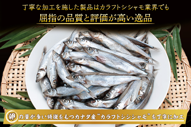 【数量限定！】 子持ち カラフトシシャモ ２kg (500g×4袋) 訳アリ シシャモ ししゃも カラフトししゃも 大洗 規格外 訳あり わけあり 傷