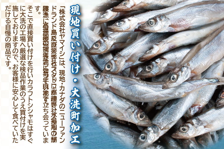 【数量限定！】 子持ち カラフトシシャモ ２kg (500g×4袋) 訳アリ シシャモ ししゃも カラフトししゃも 大洗 規格外 訳あり わけあり 傷