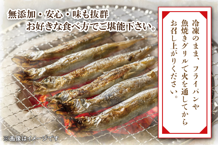 【数量限定！】 子持ち カラフトシシャモ ２kg (500g×4袋) 訳アリ シシャモ ししゃも カラフトししゃも 大洗 規格外 訳あり わけあり 傷