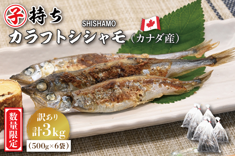  【数量限定！】 子持ち カラフトシシャモ 3kg (500g×6袋) 訳アリ シシャモ ししゃも カラフトししゃも 大洗 規格外 訳あり わけあり 傷