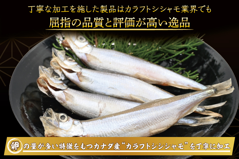 ししゃも雄雌食べ比べ ４ｋｇ セット 訳アリ シシャモ ししゃも カラフトししゃも 大洗 規格外 訳あり わけあり 傷