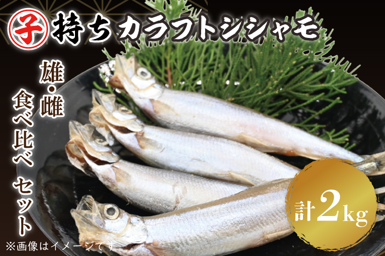 ししゃも雄雌食べ比べ 2ｋｇ セット 訳アリ シシャモ ししゃも カラフトししゃも 大洗 規格外 訳あり わけあり 傷