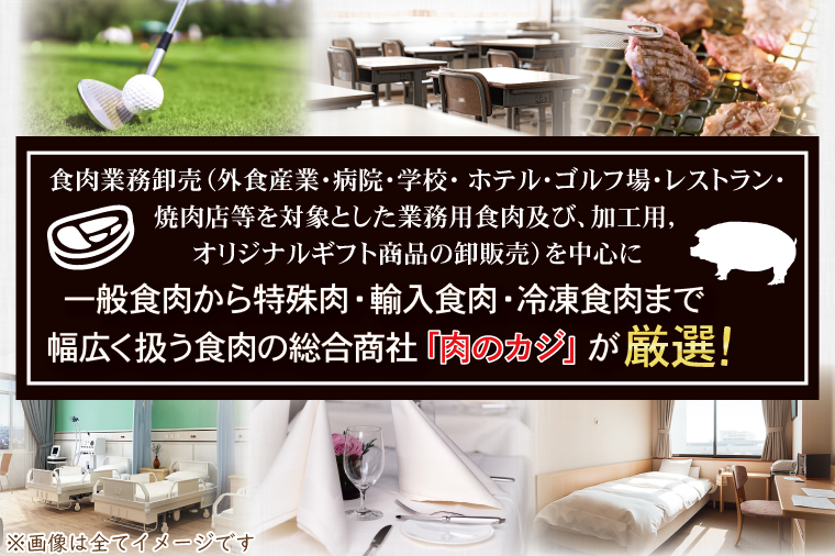 ローズポーク ロース とんかつ・ソテー用 約280g (140g×2枚) ( 茨城県共通返礼品・茨城県産 ) ブランド豚 茨城 国産 豚肉 冷凍 とんかつ ソテー