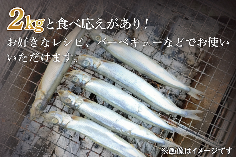 【数量限定！】 子持ち カラフトシシャモ ２kg (500g×4袋) 訳アリ シシャモ ししゃも カラフトししゃも 大洗 規格外 訳あり わけあり 傷