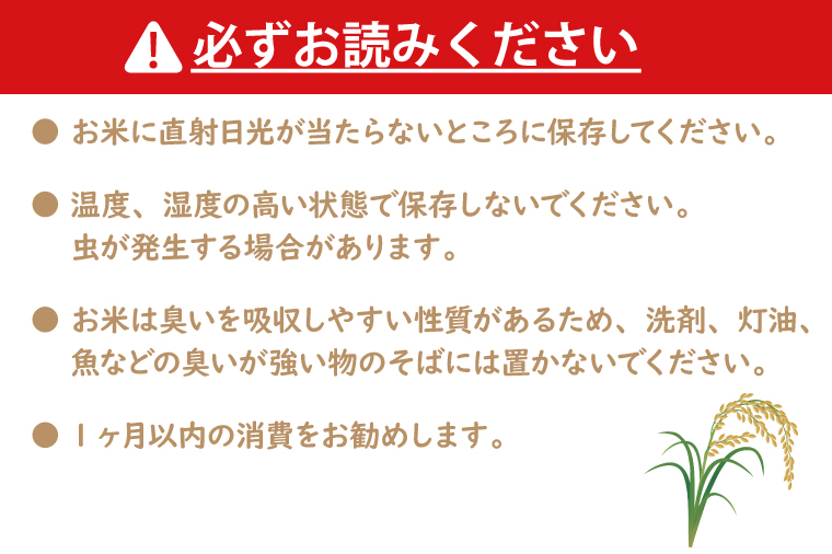 令和6年産  茨城 コシヒカリ 10kg (5kg×２袋) 米 お米 おこめ 白米 ライス ご飯 精米 こしひかり 国産 茨城県産