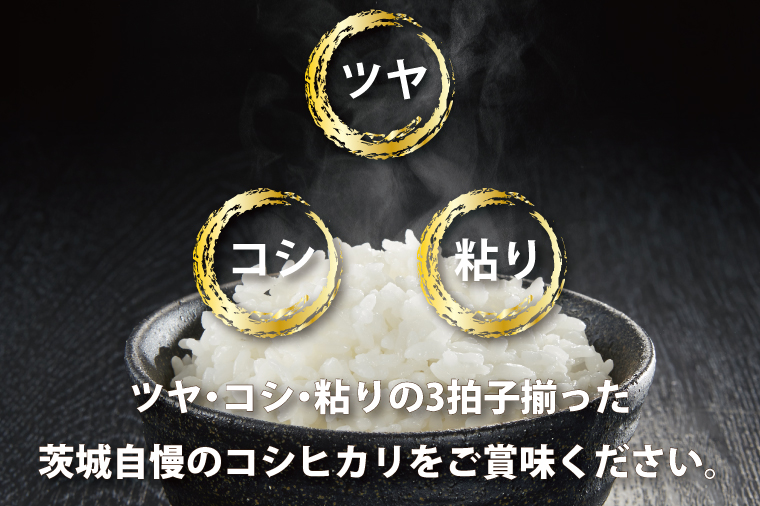 令和6年産  茨城 コシヒカリ 10kg (5kg×２袋) 米 お米 おこめ 白米 ライス ご飯 精米 こしひかり 国産 茨城県産