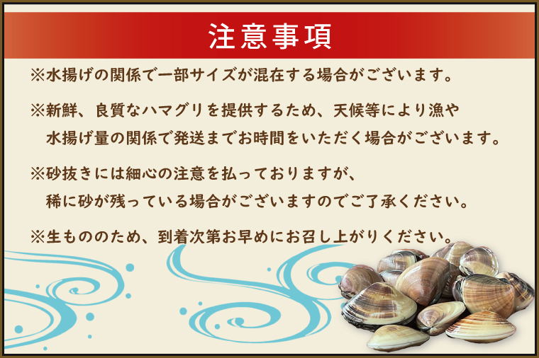 期間限定 鹿島灘 ハマグリ 訳あり 2kg 砂抜き済み はまぐり 蛤 わけあり 国産 天然 茨城県産 鹿島灘産 焼き蛤 BBQ おせち お雑煮 お吸い物 ラーメン パスタ