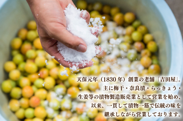 梅干詰合「和」 昔ながら 老舗 伝統 国産 大洗 大洗町 梅干し 梅干 梅 うめぼし うめ