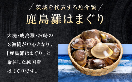 大洗産鹿島灘天然はまぐり 3kg 冷蔵 お吸い物 ハマグリ 蛤 貝 砂抜き処理 魚介類 大洗産 天然 はまぐり