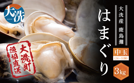 倧æŽç£é¹¿å³¶ç倩ç¶ã¯ãŸãã 3kg å·èµ ãåžãç© ããã°ãª è€ è² ç æãåŠç éä»é¡ 倧æŽç£ å€©ç¶ ã¯ãŸãã