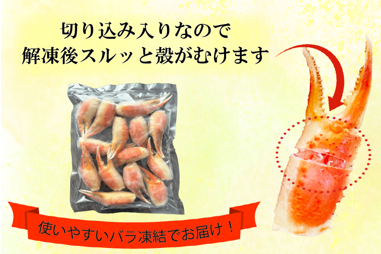 ボイル 本ずわいがに 爪 500g×1 カジマ ずわい蟹 ズワイガニ ずわいがに かに カニ 蟹 かに爪 カニ爪