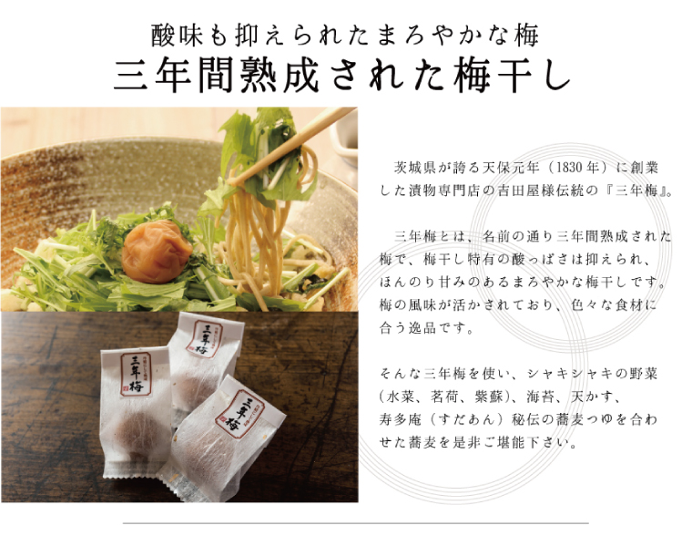 åžžéžç§ãã° ææã¡ æ¢
å·ãããã° çè麊 6人å çè麊 äžå¹Žæ¢
æ¢
ãã åœç£ ç ãã° è麊 寿å€åºµ